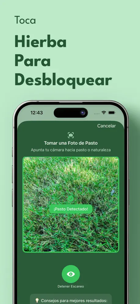 Touch Grass: Limitar Pantalla screenshot 3