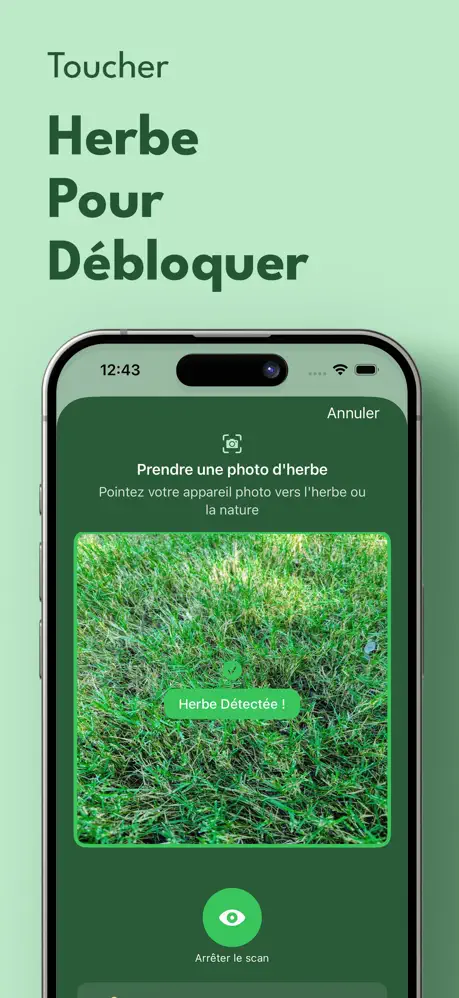 Touch Grass: Limiter Écran screenshot 3