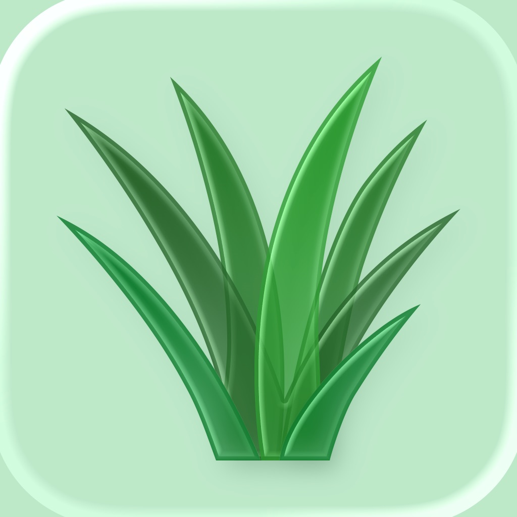 Touch Grass - Digital Detox icon